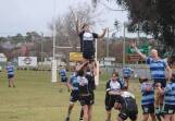 The Panthers travelled to West Wyalong last Saturday for three games of rugby. File photo.